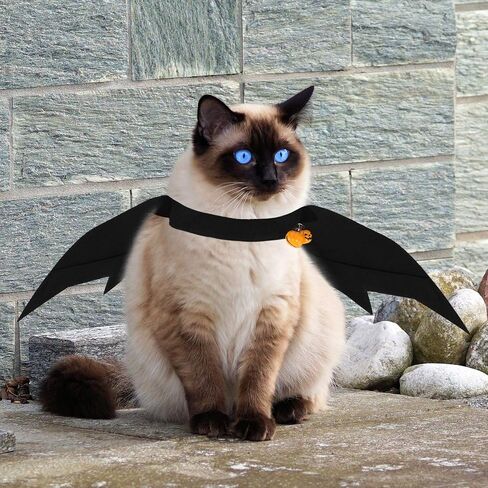 4 Pieces Halloween Cat Costume Cat Cape Bat Costume Wings with Pumpkin Bells for Halloween Pet Costume in Saudi Arabia