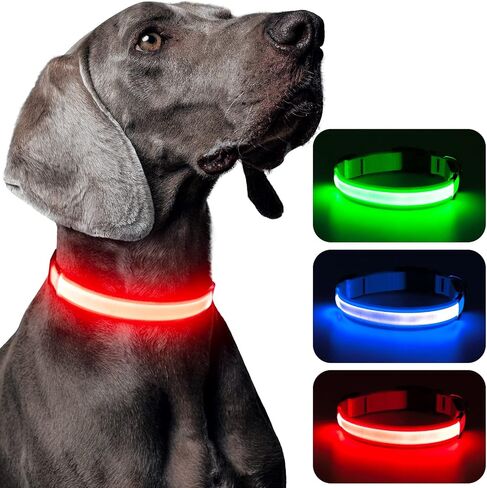 LED Dog Collar Rechargeable - Waterproof Light Up Dog Collars, Adjustable Glow in The Dark Pet Collar, Safety Dog Lights for Night Walking (Large, Blue) in Kuwait