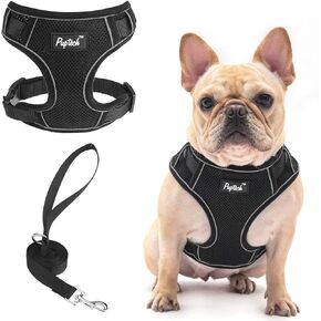 PUPTECK Small Dog Harness and Leash Set, No Pull Adjustable Puppy Cat Harness, Reflective Soft Mesh Pet Vest Small Sized
