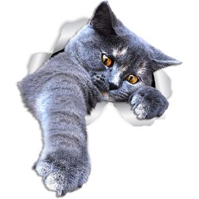 Winston & Bear British Shorthair Cat Wall Decals - 2 Pack - British Shorthair Cat Toilet Sticker – 3D Cat Car Window and Bumper Sticker - Retail Packaged Grey Kitten Lover Gifts in Saudi Arabia