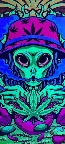 Blacklight Cool Weed Tapestry للرجال، الأشعة فوق البنفسجية التفاعلية Trippy Alien Stuff نسيج أوراق الماريجوانا لغرفة النوم، مخدر التعادل صبغ ستونر المفروشات ملصق بطانية مسكن الكلية يتوهج في الظلام، 60 × 40 بوصة in Kuwait