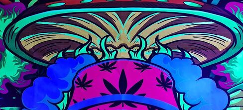 Blacklight Cool Weed Tapestry للرجال، الأشعة فوق البنفسجية التفاعلية Trippy Alien Stuff نسيج أوراق الماريجوانا لغرفة النوم، مخدر التعادل صبغ ستونر المفروشات ملصق بطانية مسكن الكلية يتوهج في الظلام، 60 × 40 بوصة in Kuwait
