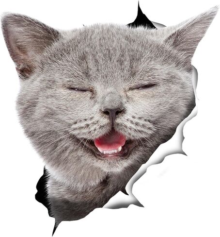 Winston & Bear British Shorthair Cat Wall Decals - 2 Pack - British Shorthair Cat Toilet Sticker – 3D Cat Car Window and Bumper Sticker - Retail Packaged Grey Kitten Lover Gifts in Kuwait