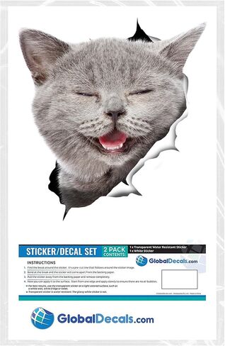 Winston & Bear British Shorthair Cat Wall Decals - 2 Pack - British Shorthair Cat Toilet Sticker – 3D Cat Car Window and Bumper Sticker - Retail Packaged Grey Kitten Lover Gifts in Kuwait