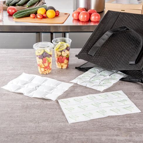 Delivery Tek 11.4 x 7.7 Ice Sheets, 10 Durable Cold Packs - Easy-To-Use Design, Leakproof, Plastic Shipping Ice Packs, Reusable, For Frozen Meat, Vegetables, or Beverages - Restaurantware in Saudi Arabia