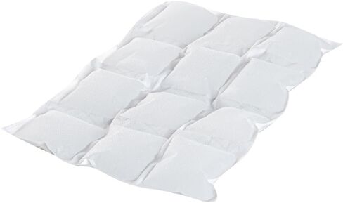 Delivery Tek 11.4 x 7.7 Ice Sheets, 10 Durable Cold Packs - Easy-To-Use Design, Leakproof, Plastic Shipping Ice Packs, Reusable, For Frozen Meat, Vegetables, or Beverages - Restaurantware in Saudi Arabia