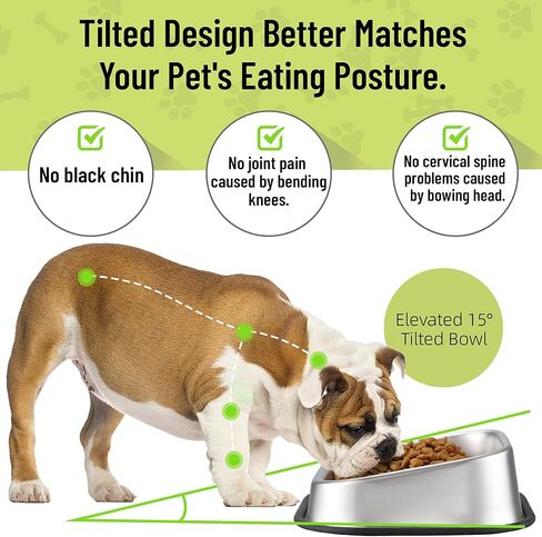 وعاء الكلب من الفولاذ المقاوم للصدأ، وعاء الكلب المائل من نايلف، وعاء الحيوانات الأليفة المائل للكلاب الصغيرة المتوسطة، وعاء الكلب المضاد للانزلاق مع حافة مرتفعة لتغذية البلدغ، آمن للاستخدام في غسالة الأطباق حتى 2.5 كوب in Kuwait