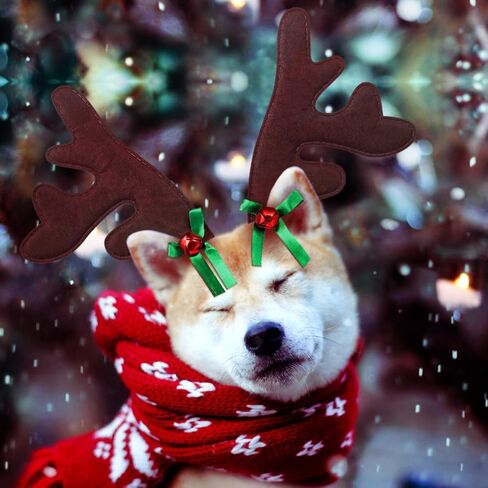 POPETPOP Christmas Pet Headband, Dog Christmas Elk Reindeer Antlers Headbands Set Pet Christmas Costume Accessories Headwear in Saudi Arabia