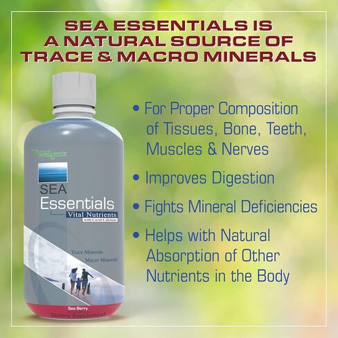 Wellgenix Sea Essentials فيتامين سائل كالسيوم مرجاني عالي الامتصاص - مكمل غذائي متعدد الفيتامينات - نكهة توت البحر - 32 أونصة سائلة (5) in Saudi Arabia