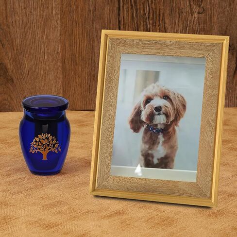 جرة صغيرة للرماد البشري - الجرار المزخرفة الكريستالية للذكور البالغين، حامل رماد تذكاري لجرة التذكار، الجرار الصغيرة لحرق الجنازة in Kuwait