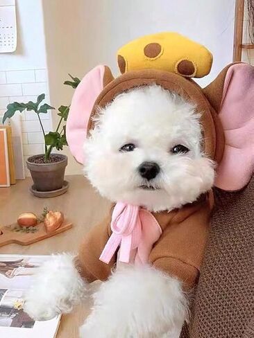 QWINEE Dog Hoodie Pets 3D Ear Design Clothes Dog Warm Sweatshirt Christmas Halloween Dog Costume for Small Medium Dogs Cats Puppy Kitten Brown XL in Saudi Arabia