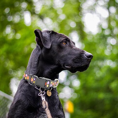 3 PCS Cute Dog Collar Adjustable with Patterns, Ultra Comfy Soft Breathable Pet Collar for Girl Female Small Medium Large Dogs (L(14-22in), 1-Combinatorial) in Saudi Arabia