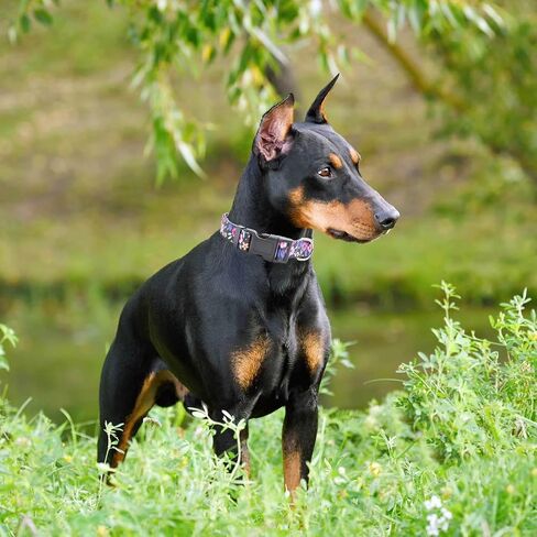 3 PCS Cute Dog Collar Adjustable with Patterns, Ultra Comfy Soft Breathable Pet Collar for Girl Female Small Medium Large Dogs (L(14-22in), 1-Combinatorial) in Saudi Arabia