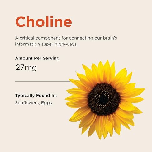 صمغ برينياك كيدز اليومي، يدعم صحة الدماغ مع أوميغا 3 DHA EPA DPA والكولين وB6 وB12 واللوتين لصحة العين مع دعم المناعة، نكهة التوت الحمضي، 90 قيراط in Kuwait