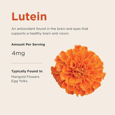 صمغ برينياك كيدز اليومي، يدعم صحة الدماغ مع أوميغا 3 DHA EPA DPA والكولين وB6 وB12 واللوتين لصحة العين مع دعم المناعة، نكهة التوت الحمضي، 90 قيراط in Kuwait