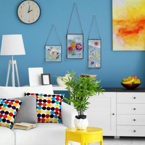 مجموعة من 9 إطارات زجاجية سوداء من Barydat للزهور المضغوطة مقاس 6 × 6، 6 × 8، 4 × 9 بوصة إطار صورة معلق، إطار عرض فني عائم للصور، زجاج مزدوج مع سلسلة لعينات النباتات المجففة، معرض ديكور الحائط in Saudi Arabia