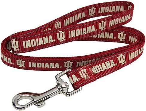 سلسلة بشعار فريق انديانا هوجرز الرابطة الوطنية لرياضة الجامعات بالولايات المتحدة - مقاس متوسط للكلاب من بيت جودز مانيوفاكتشرنغ in Kuwait