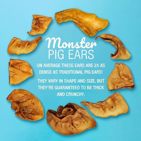 Pawstruck Monster Pig Ears for Dogs, Made in USA Dog Chews, Natural Rawhide Free Pork Treats, American Made Puffed Sow, Digestible Dog Treats (10 Ears), Cow Ear Alternative for All Breeds… in Kuwait