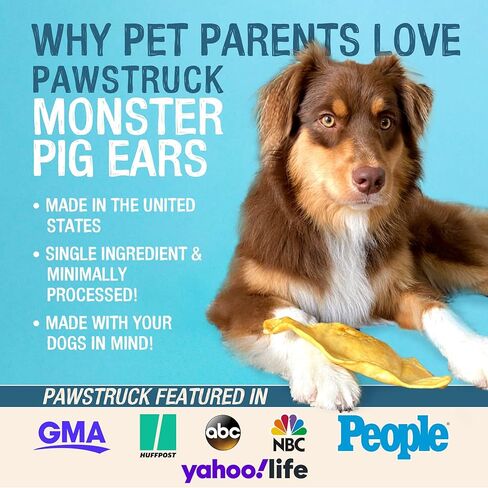 Pawstruck Monster Pig Ears for Dogs, Made in USA Dog Chews, Natural Rawhide Free Pork Treats, American Made Puffed Sow, Digestible Dog Treats (10 Ears), Cow Ear Alternative for All Breeds… in Kuwait