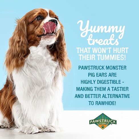 Pawstruck Monster Pig Ears for Dogs, Made in USA Dog Chews, Natural Rawhide Free Pork Treats, American Made Puffed Sow, Digestible Dog Treats (10 Ears), Cow Ear Alternative for All Breeds… in Kuwait