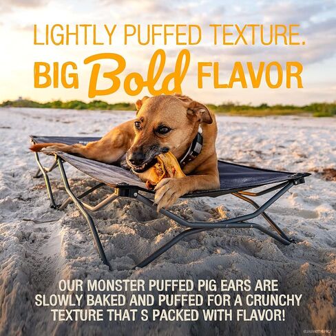 Pawstruck Monster Pig Ears for Dogs, Made in USA Dog Chews, Natural Rawhide Free Pork Treats, American Made Puffed Sow, Digestible Dog Treats (10 Ears), Cow Ear Alternative for All Breeds… in Kuwait