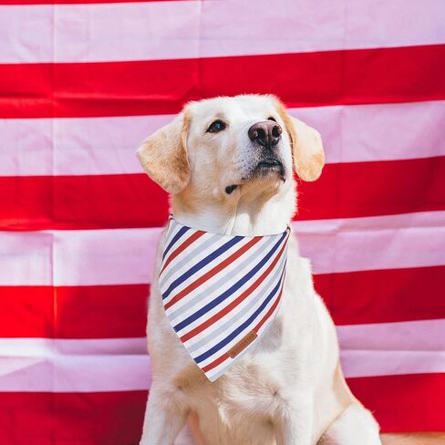 ADOGGYGO عصابات الكلاب في الرابع من يوليو، مقاسات متعددة معروضة، وشاح للكلاب بعلم أمريكي قابل للتعديل، عصابات وطنية للكلاب الكبيرة والكبيرة جدًا من الحيوانات الأليفة (X-Large، أبيض) in Kuwait