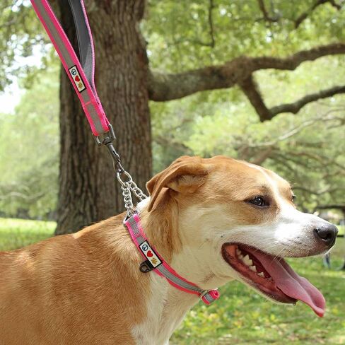 Pawtitas Double Handle Dog Leash Heavy Duty for Training No Pull Leashes Ideal for Medium and Large Dogs | Great for Walking, Running & Training Dog Leash - Medium/Large - Pink in Saudi Arabia