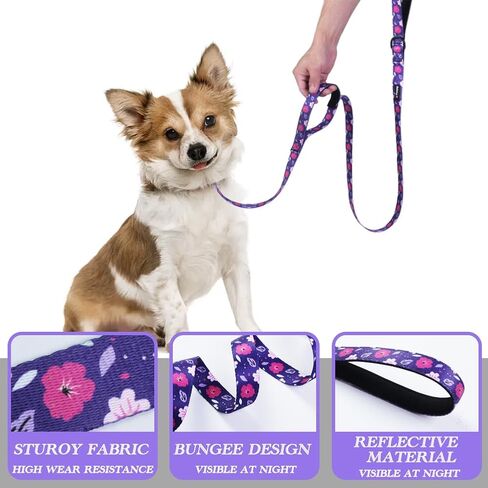 Foxyep Dog Leash 2 مقابض بمقبض مبطن لمزيد من التحكم، مع حقيبة أنبوب الكلب لطيف فتاة الكلب المقود تصميم زهرة للكلاب الصغيرة والمتوسطة الكبيرة، جرو (الوردي الأسود والوردي) in Kuwait