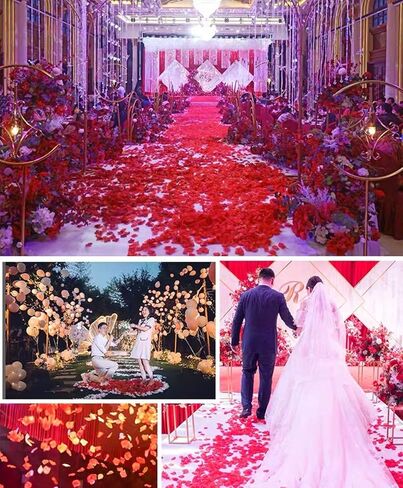 تشى شين 1200 قطعة من بتلات الورد الزهور الاصطناعية لحفلات الزفاف وحفلات الزفاف لوازم تزيين الحمام باللون الأصفر in Kuwait