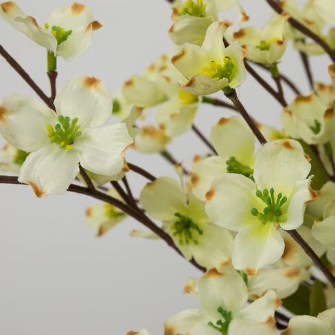 Artificial Flowers Blossom Stems Dogwood Silk Flowers Fake Cornus Bush for Home Decoration Table Centerpieces, 8 PCS (Champagne) in Kuwait