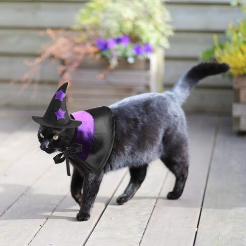 5 Pcs Halloween Cat Costume Bat Wings Witch Cloak Wizard Hat Halloween Pet Costume Set Pet Vampire Costume Cloak Witch Hat Bat Costume Cat Dress up Accessories for Small Kitten Dog Cosplay Party Decor in Saudi Arabia