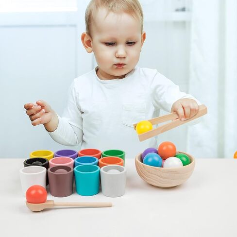 Auvewilo Wooden Balls and Cups Color Sorting Montessori Toy, Pairing Game Set for Kids in Kuwait