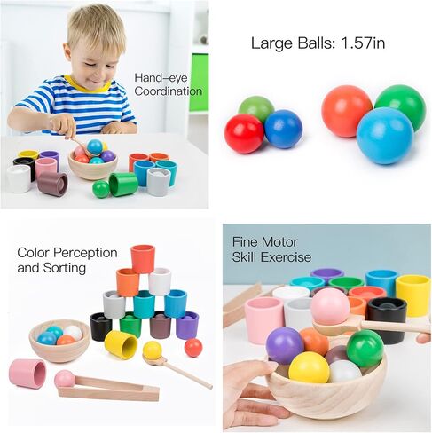 Auvewilo Wooden Balls and Cups Color Sorting Montessori Toy, Pairing Game Set for Kids in Kuwait