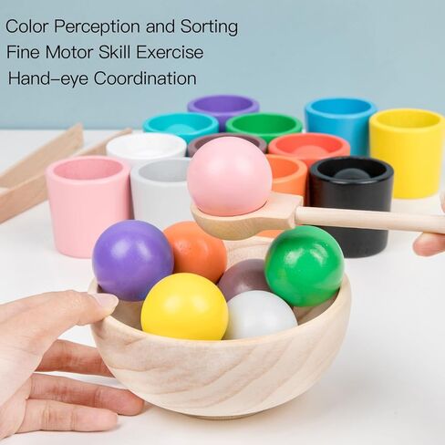 Auvewilo Wooden Balls and Cups Color Sorting Montessori Toy, Pairing Game Set for Kids in Kuwait