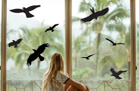 Anti-Collision Window Bird Stickers Glass Door Protection and Save Birds (Black, 9 Pcs) in Saudi Arabia