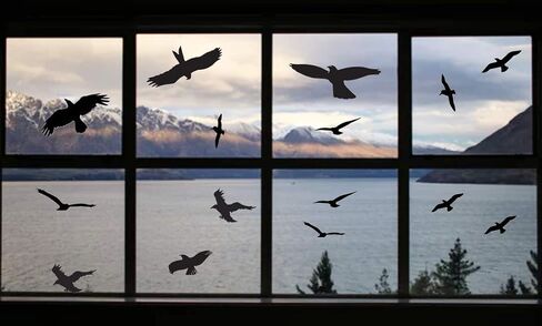 Anti-Collision Window Bird Stickers Glass Door Protection and Save Birds (Black, 9 Pcs) in Saudi Arabia