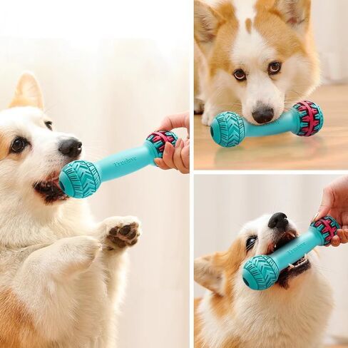 La La Pet®Dumbbell Shaped Dog Chew Toy Natural Rubber Dog Teeth Cleaning Toy Dog Treat Dispensing Toy Dog Oral Chew Toy for Small Medium Large Dogs Red Blue, M in Saudi Arabia