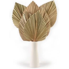 HAIOPS Dried Palm Leaves 6PCS Natural Tropical Dry Palm Spear Home Decor Kit in Kuwait