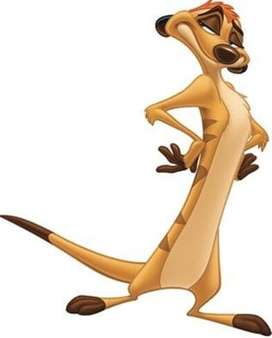 4 Inch Timon Meercat Lion King Movie Animal Removable Peel Self Stick Adhesive Vinyl Decorative Wall Decal Sticker Art Kids Room Home Decor Girl Boy Children Bedroom 3 x 4 inch Tall in Saudi Arabia