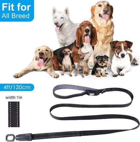 Dog Leash(Black) in Kuwait