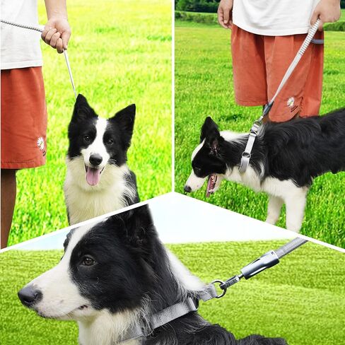 Dog Leash(Black) in Kuwait