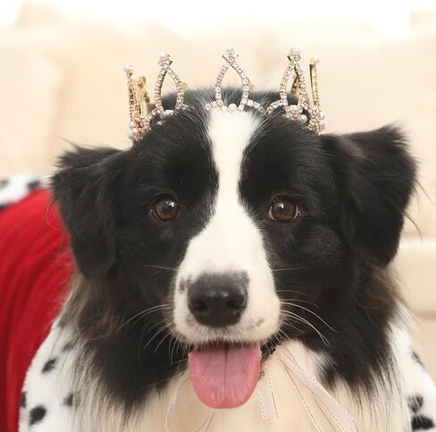 سلسلة Lovelyshop Pet Series مطلية بالذهب من حجر الراين الملكي واللؤلؤ، تاج دائري كامل للكلب/القطط لزي العائلة الملكية، إكسسوارات للشعر - مقاس صغير in Saudi Arabia