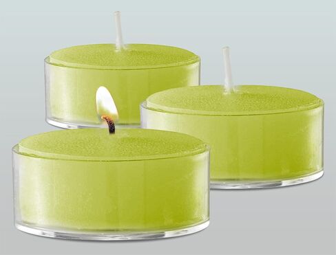 Olive Oil Tea Light Candles - 40 Pack - Clear Cup Unscented Travel, Centerpiece, Decorative Candle - 4.5 Hour Burn Time - by Ner Mitzvah in Saudi Arabia