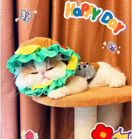 ANIAC Chef Dog Costume for Small Dog Funny Pet Clothes with Cook Hat and Navy Pet Collar Set White Cat Outfit for Halloween Cosplay Dressing Up (Small) in Saudi Arabia