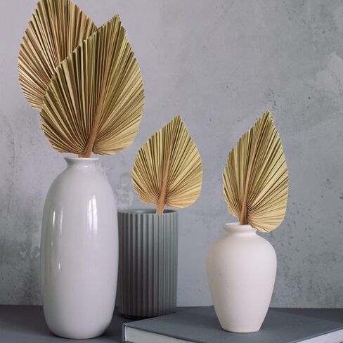 HAIOPS Dried Palm Leaves 6PCS Natural Tropical Dry Palm Spear Home Decor Kit in Kuwait