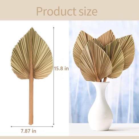 HAIOPS Dried Palm Leaves 6PCS Natural Tropical Dry Palm Spear Home Decor Kit in Kuwait