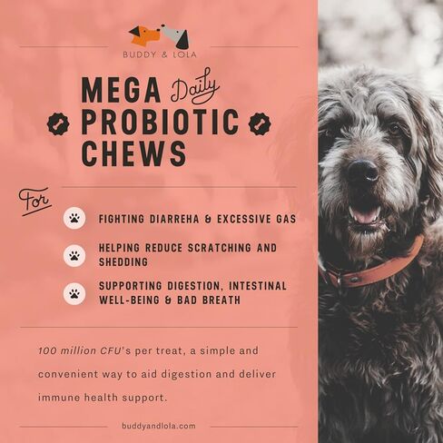 For Dogs Chew Treats for All Breeds and Sizes in Kuwait