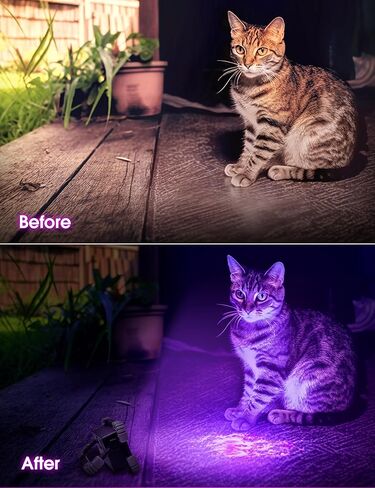 فولايتور مصباح LED اسود بالاشعة فوق البنفسجية قابل لاعادة الشحن 【عبوتان】ضوء اسود للحيوانات الاليفة 395 نانومتر، كاشف بول الكلاب والقطط، ضوء كاشف بالاشعة فوق البنفسجية للعثور على البقع الجافة على in Kuwait