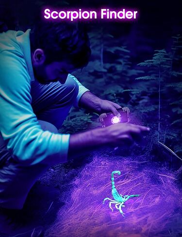 فولايتور مصباح LED اسود بالاشعة فوق البنفسجية قابل لاعادة الشحن 【عبوتان】ضوء اسود للحيوانات الاليفة 395 نانومتر، كاشف بول الكلاب والقطط، ضوء كاشف بالاشعة فوق البنفسجية للعثور على البقع الجافة على in Kuwait