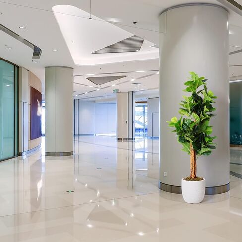 شجرة التين المصنوعة من أوراق الكمان الصناعية من هوملوكس ثيوري، نباتات صناعية بطول 6 أقدام ونباتات منزلية داخلية، نباتات أرضية شجرة التين الاصطناعية الصغيرة لديكور غرفة المعيشة ونباتات المكتب (3 سيقان، 154 ورقة كمان مزيفة كبيرة) in Kuwait